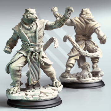 Shadowpaw Monk Miniature – Tabaxi Martial Artist | TTRPG Collectible & Tabletop Model